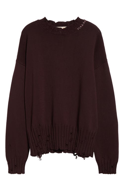 Marni Oversize Distressed Cotton Crewneck Sweater Wine at Nordstrom, Us