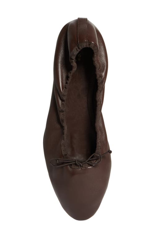 Shop The Row Awar Ballet Flat In Dark Brown