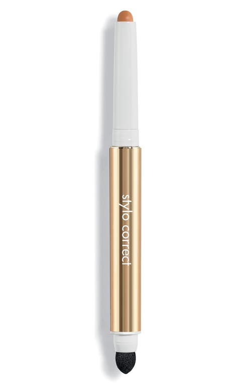 Sisley Paris Stylo Correct Concealer Pen in Medium at Nordstrom