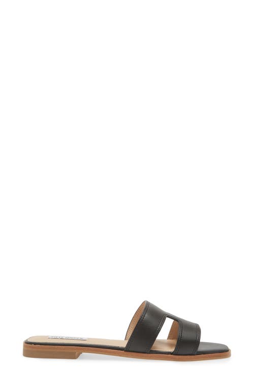 Shop Steve Madden Hazel Slide Sandal In Black Leather