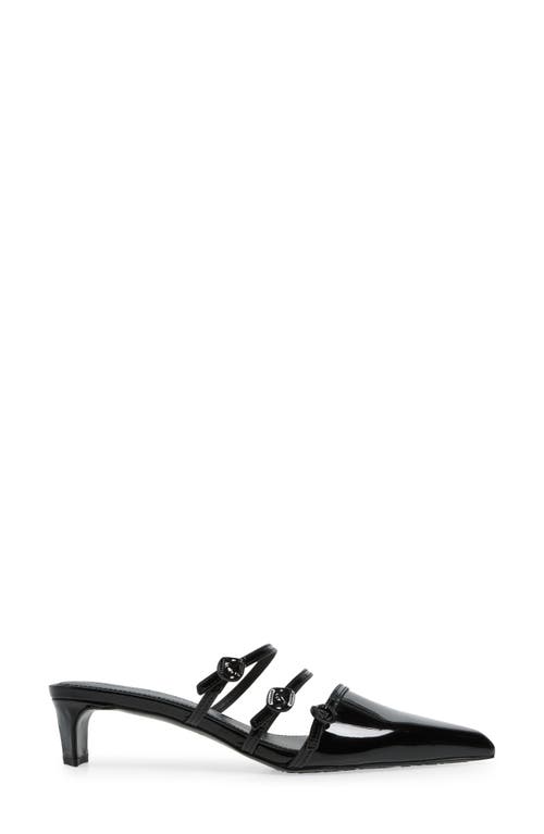Rebecca Minkoff Buckle Kitten Mule In Black