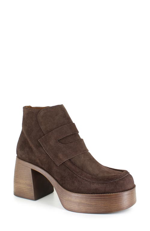 Ziginy Bertina Water Resistant Platform Bootie In Brown Suede