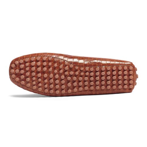 Carlos Santana Ritchie Penny Loafer In Tan Croco