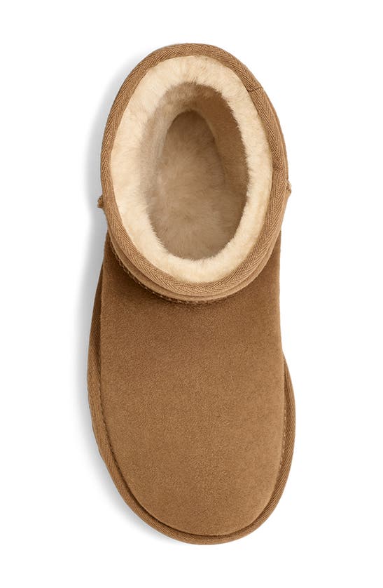 Shop Ugg Kids' Classic Ii Water Resistant Tall Boot In Chestnut