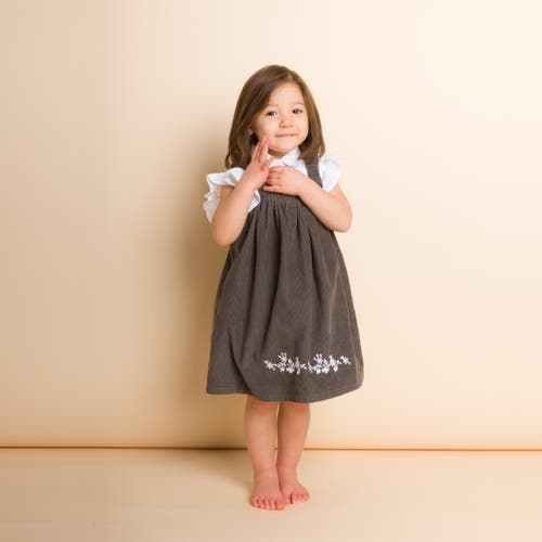 Beet World Toddler Pinafore Corduroy Dress With Embroidery | Gray & White In Gray
