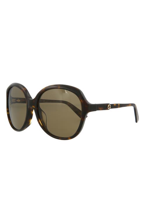 Gucci 58mm Core Oversized Sunglasses In Havana Havana Brown