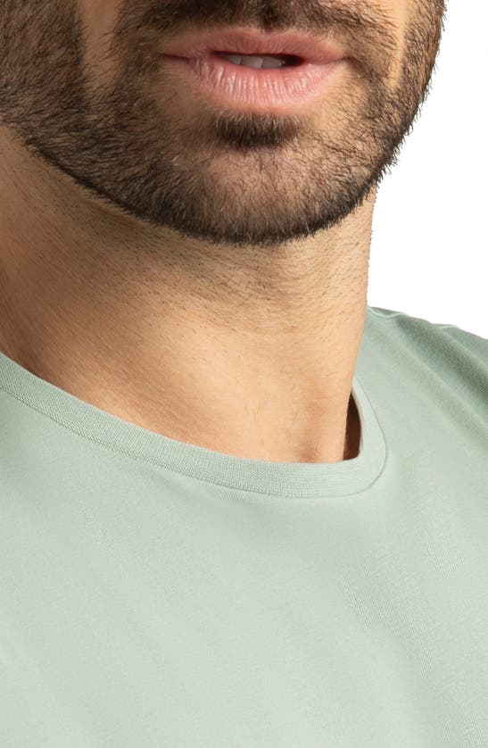 Hypernatural Topanga Performance T-shirt In Sage