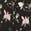 selected Oline Black Floral color