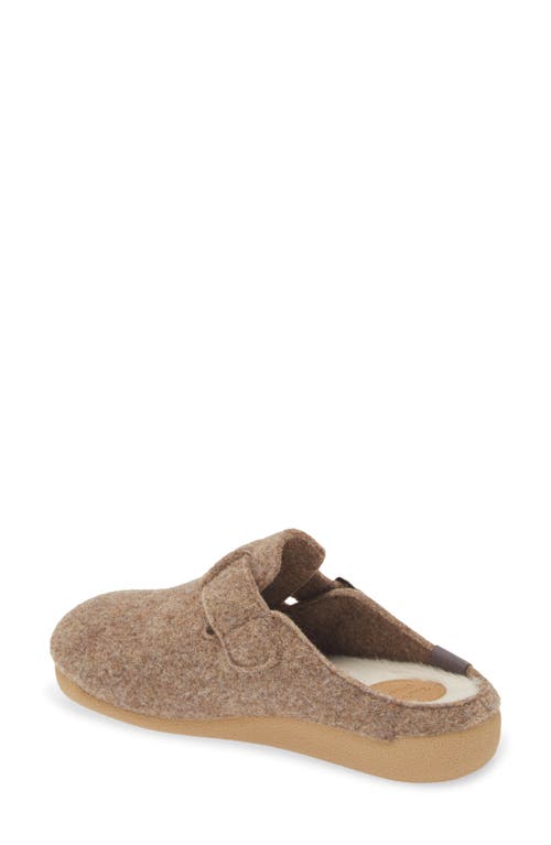 Shop Toni Pons Mima Wool Blend Clog Slipper In Taupe