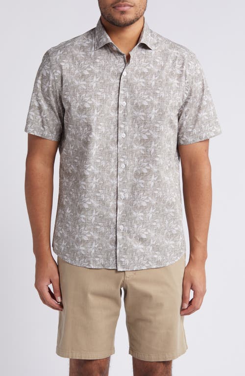 Robert Barakett Crescendo Floral Print Short Sleeve Cotton Poplin Button-Down Shirt Olive at Nordstrom,