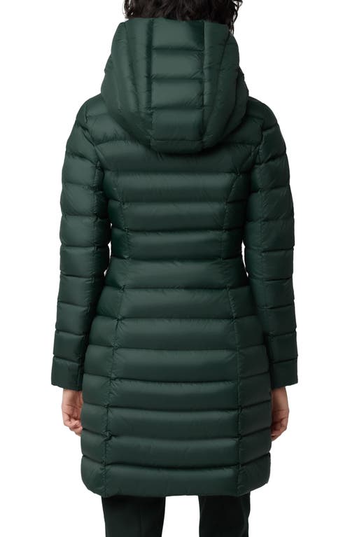 Shop Soia & Kyo Karelle Water Repellent 700 Fill Power Down Puffer Coat In Evergreen