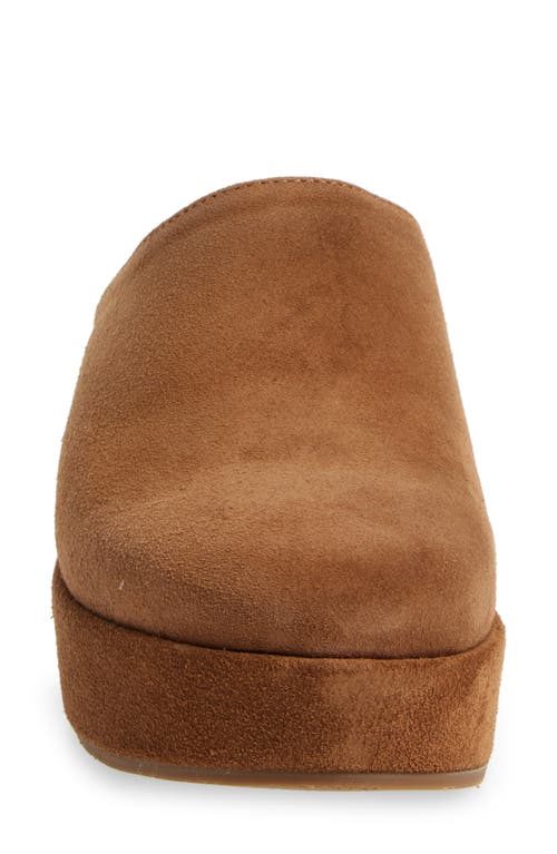 Cordani Camryn Platform Wedge Mule In Clove Suede