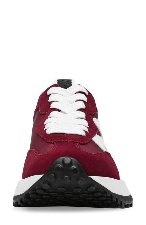 Shop Steve Madden Campo Sneaker In Wine