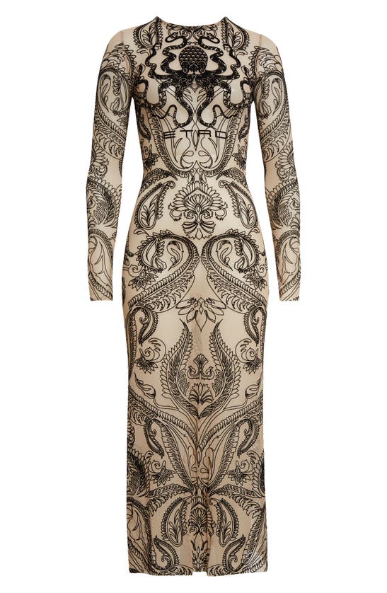 Etro Long Sleeve Flocked Tulle Midi Dress In Beige
