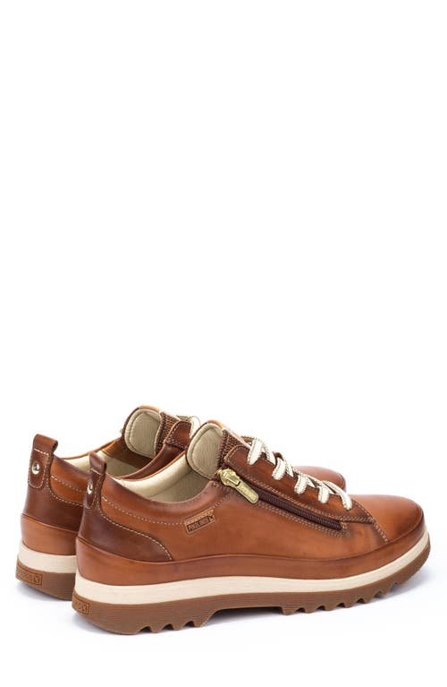 Shop Pikolinos Vigo Sneaker In Brandy