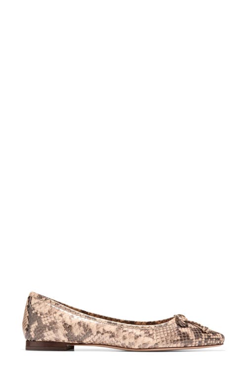 COLE HAAN COLE HAAN CHLEA POINTED TOE BALLET FLAT