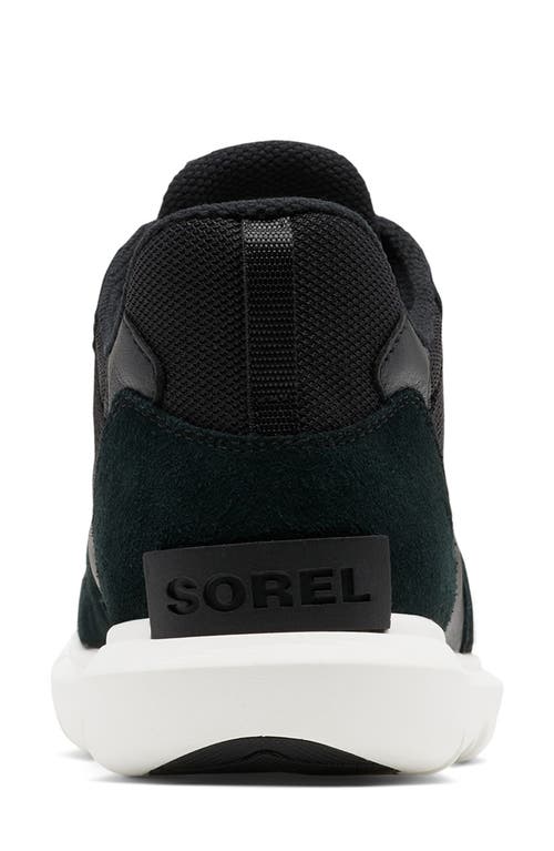 Shop Sorel Explorer™ Ii Sneaker In Black/white