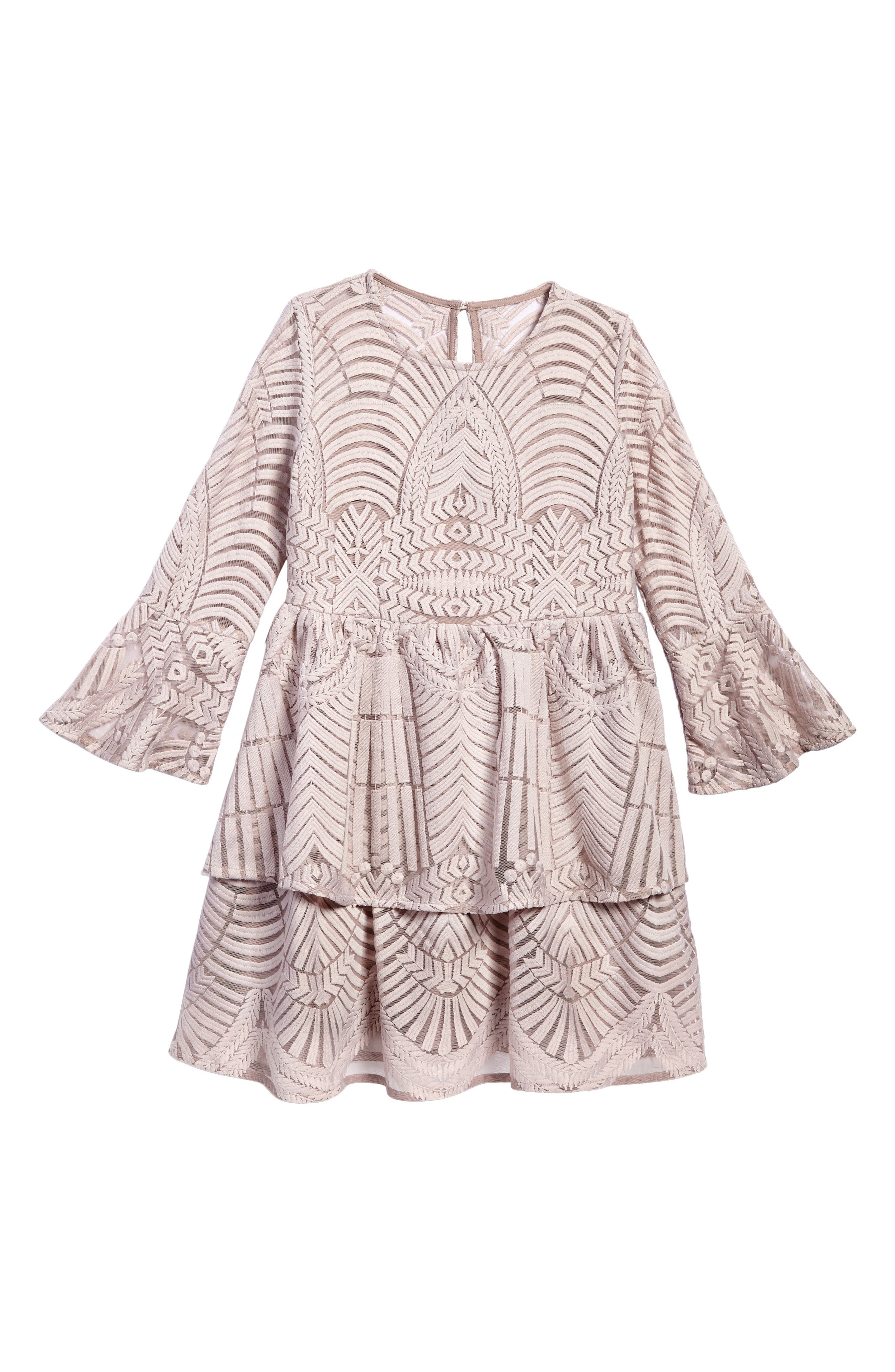 bardot embroidered lace dress