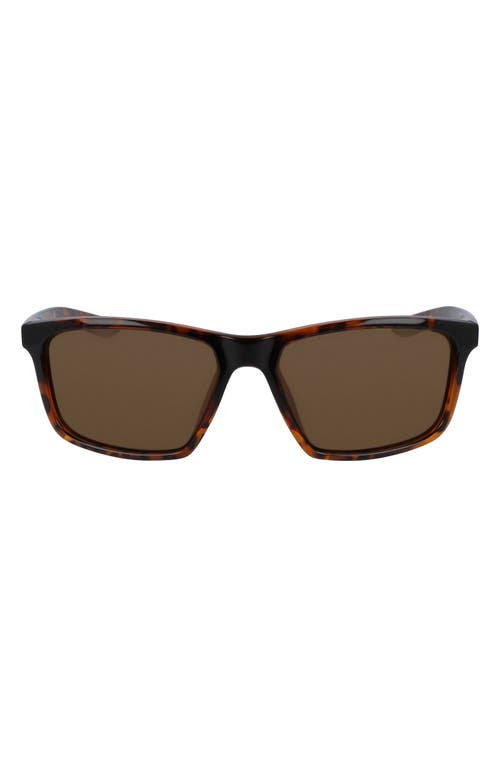 Nike Valient 60mm Square Sunglasses In Tortoise/dark Brown