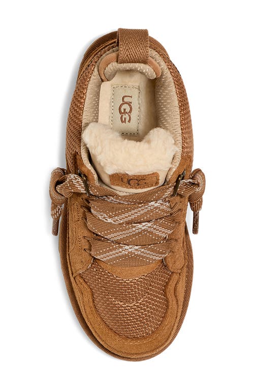 Ugg(r) Kids' Lowmel Sneaker In Chestnut