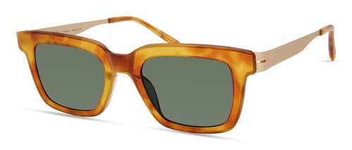 Modo 473 Sunglasses In Blonde Tortoise