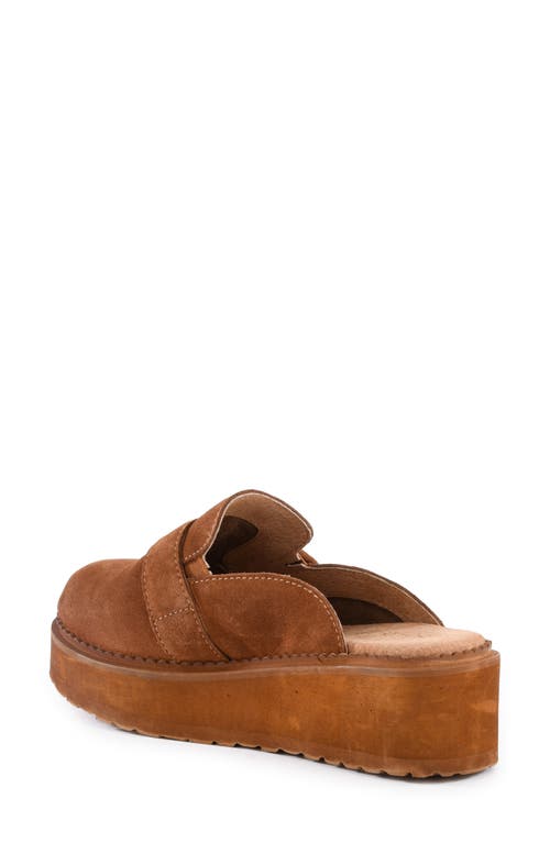 Shop Seychelles Come Together Platform Wedge Loafer Mule In Brown