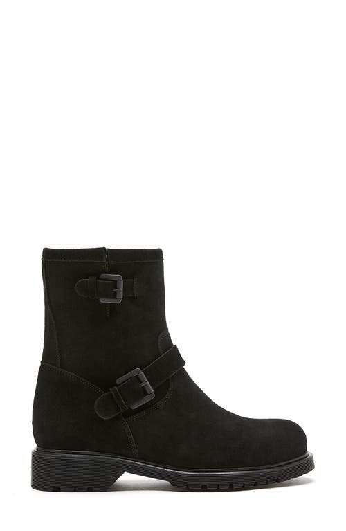 Shop La Canadienne Hana Waterproof Genuine Shearling Lined Engineer Boot In Black Suede