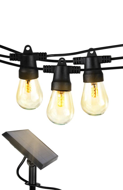Ambience Solar LED String Lights- BrighTech 