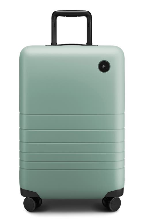 30-Inch Large Check-In Spinner Luggage in Sage Green