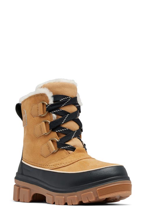 Sorel Caribou Waterproof Boots With Removable Inner Boot In Buff Nubuck Leather-brown In Curry/black