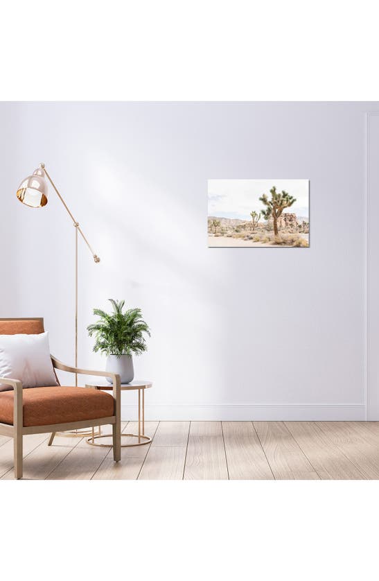 Icanvas Joshua Tree, Mohave Desert By Lovelylittlehomeco Canvas Wall Art In Multi