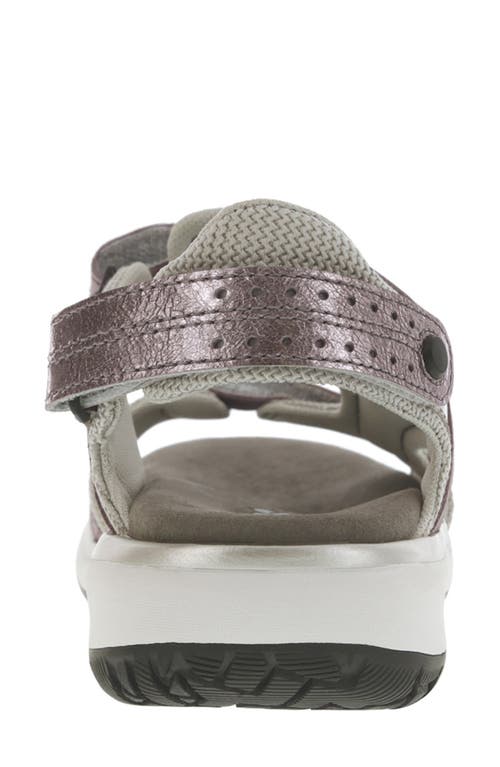 Sas Embark Sandal In Wisteria