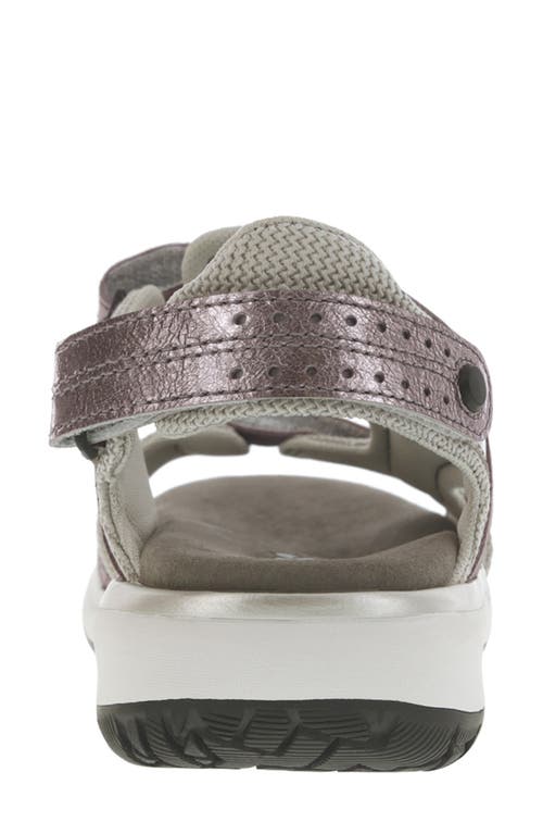 Shop Sas Embark Sandal In Wisteria