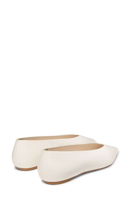 Shop Stuart Weitzman Lina Flat In Seashell