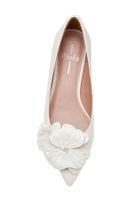 Shop Linea Paolo Nerine Pointed Toe Flat In Ivory