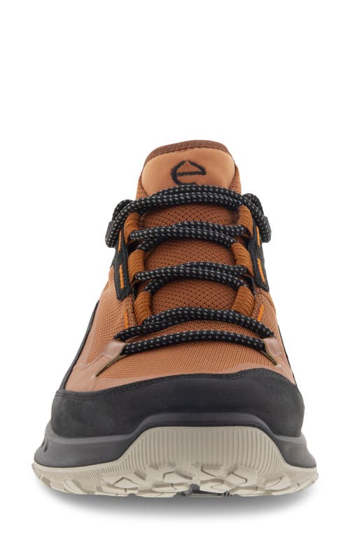 Shop Ecco Ult-trn Low Waterproof Hiking Shoe In Black/cognac