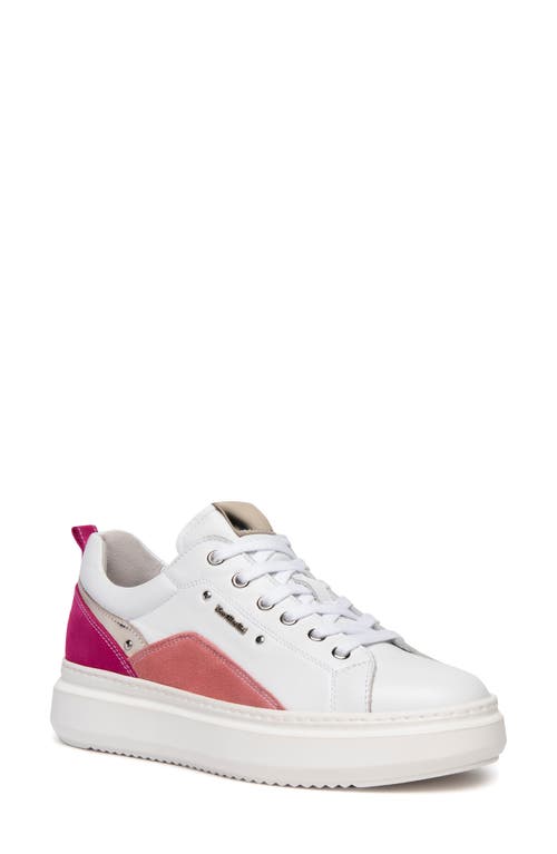 Nerogiardini Retro Colorblock Sneaker In White