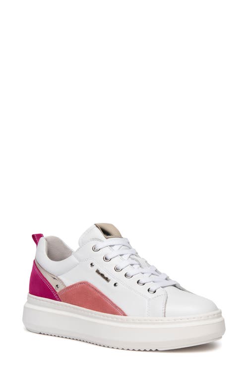 Nerogiardini Retro Colorblock Sneaker In White/fuchsia Multi