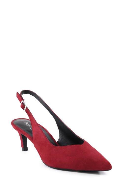 SEYCHELLES SEYCHELLES CANDLELIGHT SLINGBACK POINTED TOE KITTEN HEEL PUMP