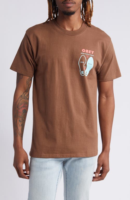Obey Alternative Facts Graphic T-Shirt Silt at Nordstrom,