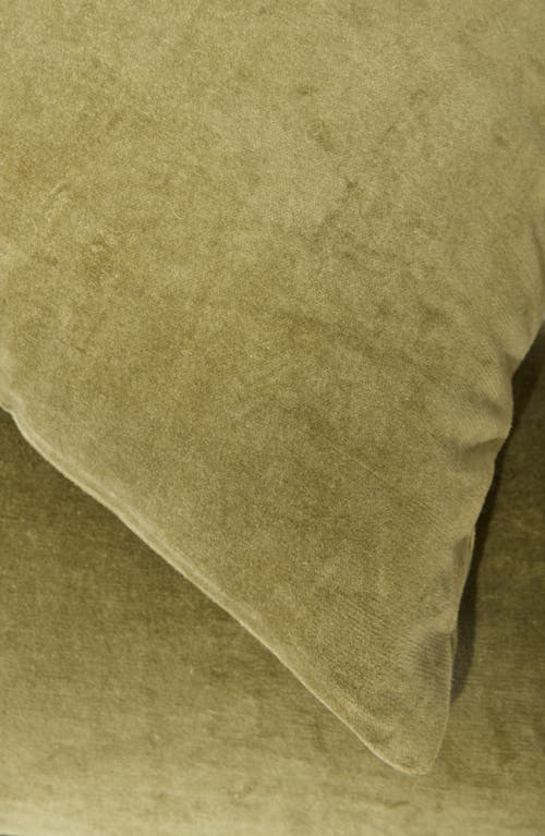 NORDSTROM NORDSTROM VELVET ACCENT PILLOW 