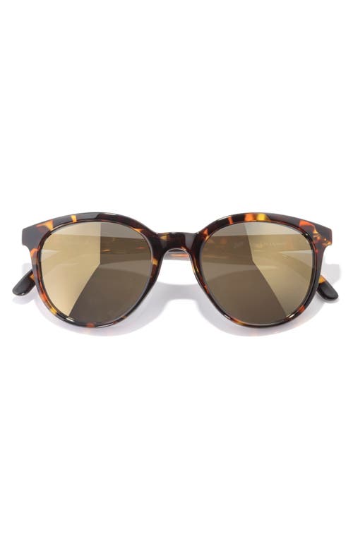Sunski Makani 50mm Polarized Small Cat Eye Sunglasses in Tortoise Flash Gold