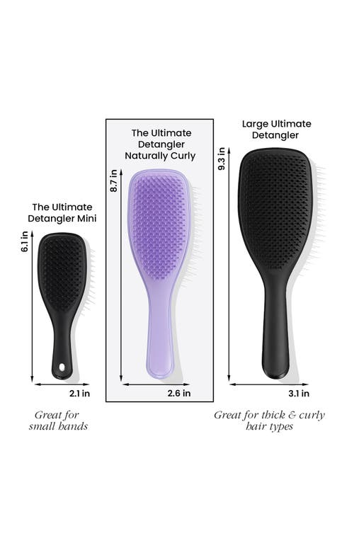 Shop Tangle Teezer Hair Brush For Naturally Curly Hair In Purple Passion