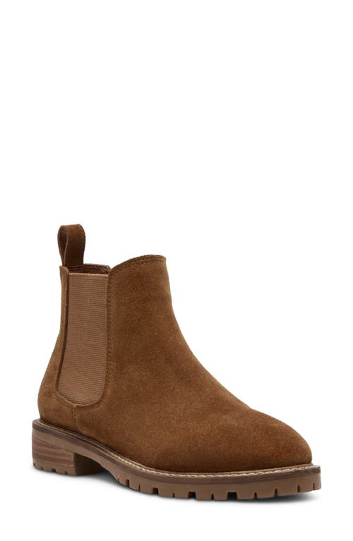 Steve madden suede chelsea boots online