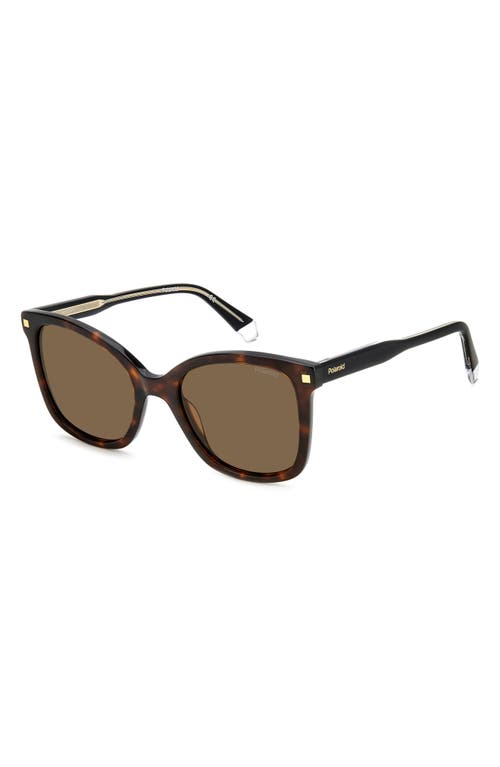 Shop Polaroid 53mm Polarized Square Sunglasses In Havana/bronze Polar