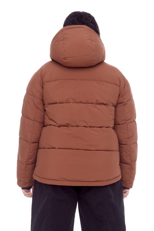 Alpine North Forillon Plus Women's Vegan Down (recycled) Short Quilted Puffer Jacket (plus Size) In Maple