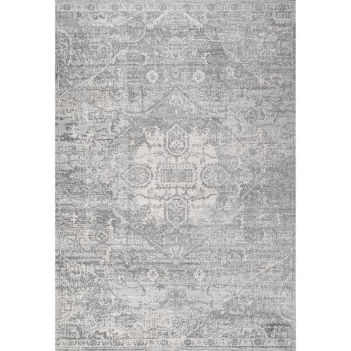 Jonathan Y Modern Persian Vintage Medallion Area Rug In Gray