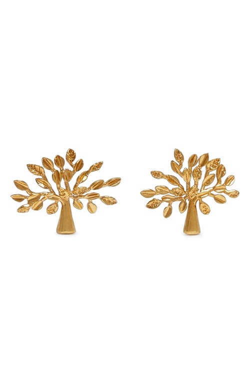 Mulberry Small Tree Stud Earrings in N637 Gold
