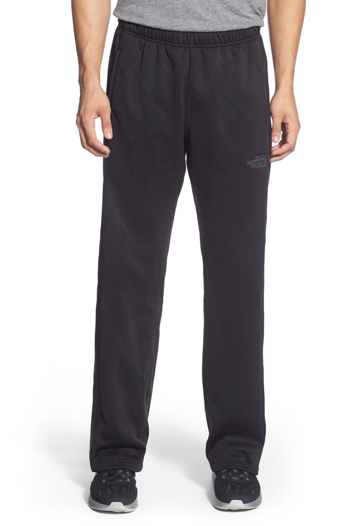 the north face surgent pants