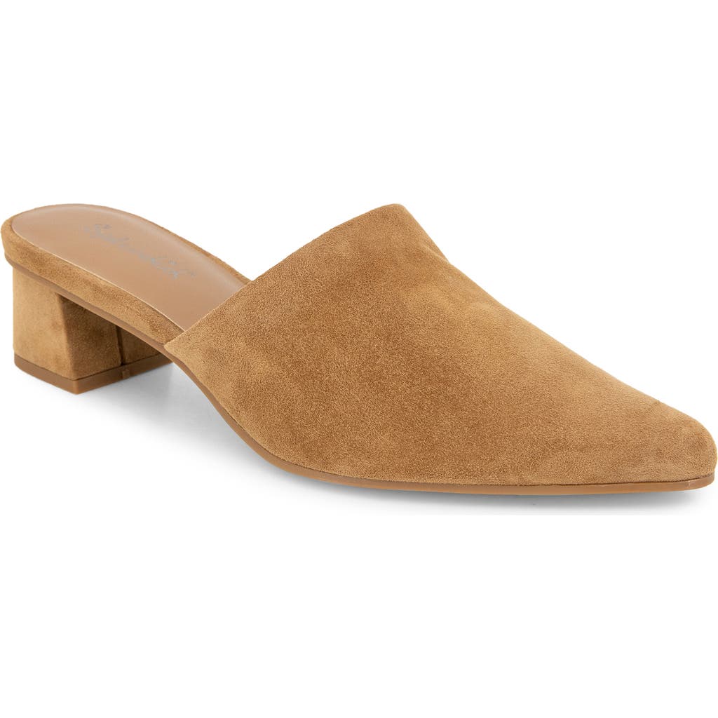 Splendid Lorelei Pointed Toe Mule In Macchiato